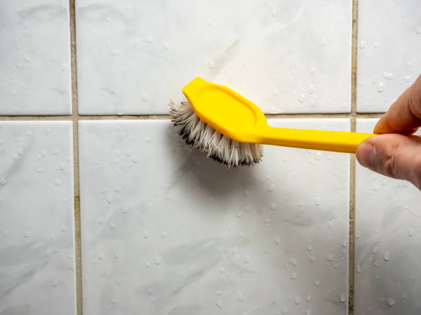 Best Local Mold Removal Service  in Edwards, MS