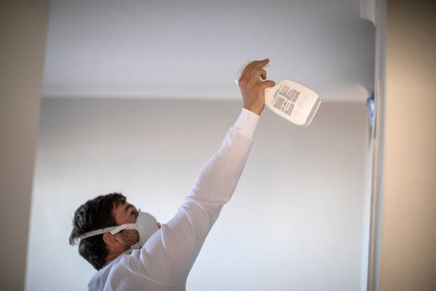 Best Emergency Mold Removal  in Edwards, MS